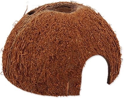 Billede af Reptile Planet Coco Shell 1/2 M
