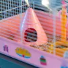 Billede af FerPlast CricetiI 9 Prinsessa 46x29.5x23cm