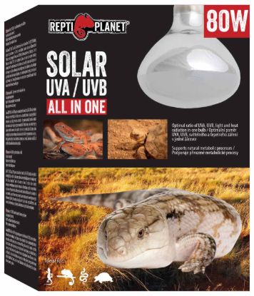 Billede af Reptile Planet Solar UVA/UVB  Pera 80w