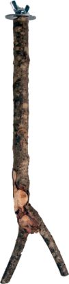 Billede af Sitipinnur Y 30cm