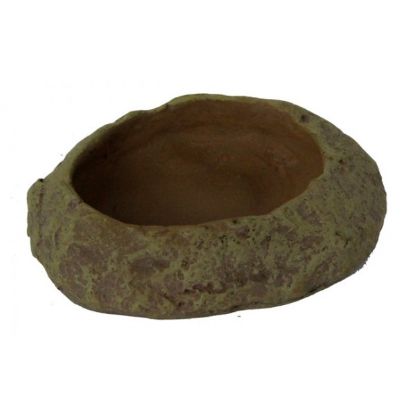 Billede af Reptiles Planet Skál XS 6x1x4cm
