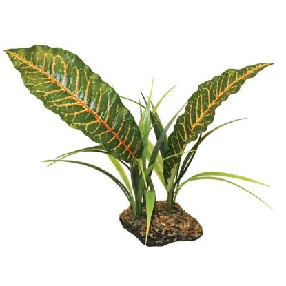Billede af Komodo Tropical Canopy 31cm