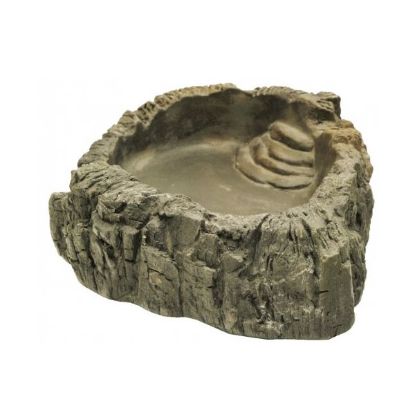 Billede af PR Terrarium Bowl Wood XL 28x21x6,5cm