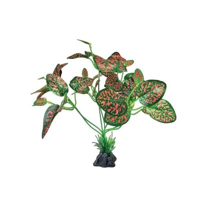 Billede af Repto Plant On Deco Standing Red/Green 14x14x25cm