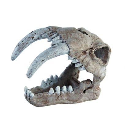 Billede af HQ Tiger Skull 13x7x10cm