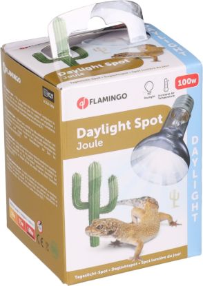 Billede af Daylight Spot Beam 100w