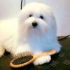 Billede af Exclusive Oval Grooming Brush M: 22cm