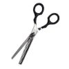 Billede af Basic Effilersaks 6"