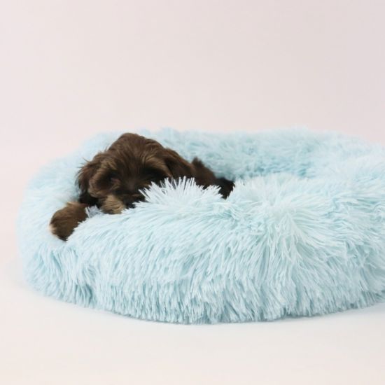 Billede af Soft Cloud Donut Hundasong S 45-50cm