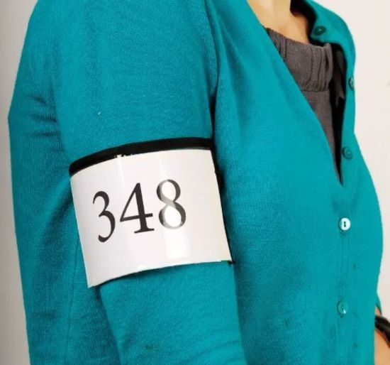 Billede af Nummer-Armband til Framsýning