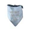 Billede af Mín fyrsti føðingardagur Bandana 58cm Ljósablátt