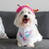 Billede af It's my Birthday Bandana Hvítt